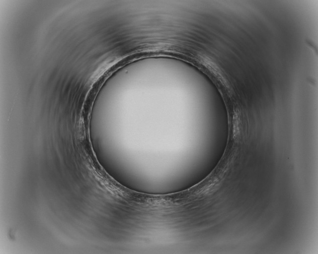 X0000102870876200808251239
