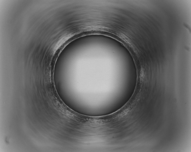 X0000102870877200808251239