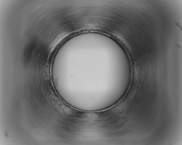 X0000102870878200808251239