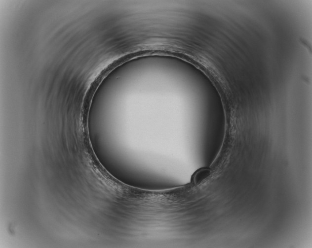 X0000102870880200808251239