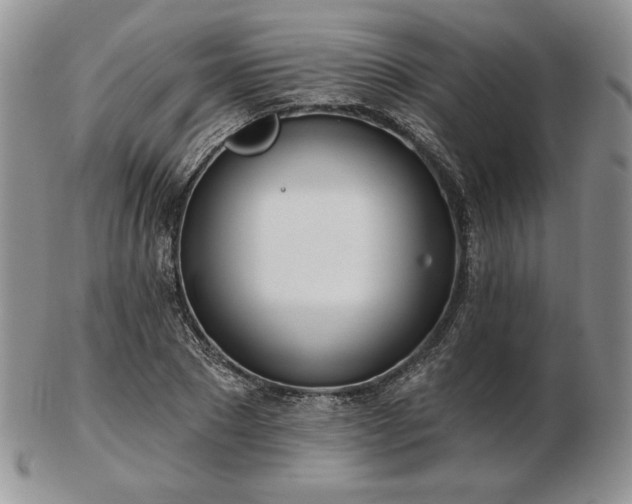 X0000102870881200808251239