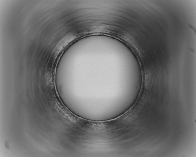 X0000102870882200808251239