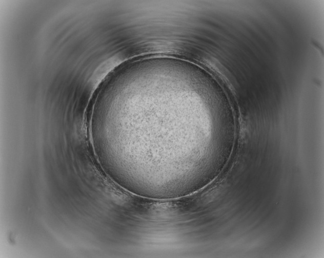 X0000102870883200808251239