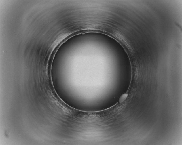 X0000102870884200808251239