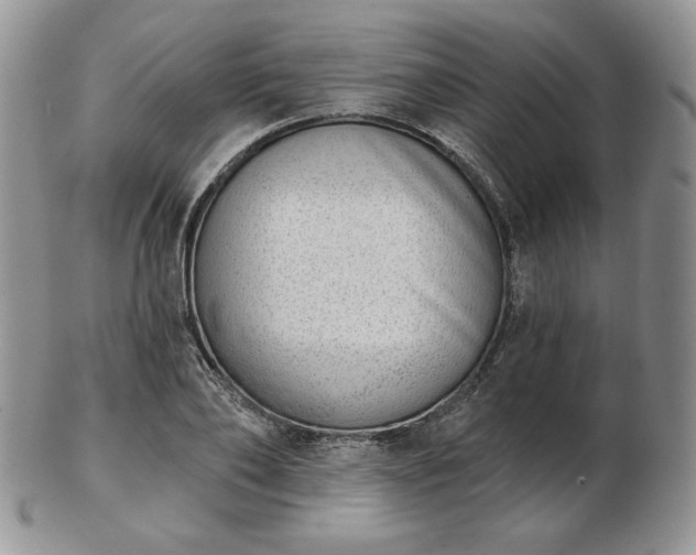 X0000102870886200808251239