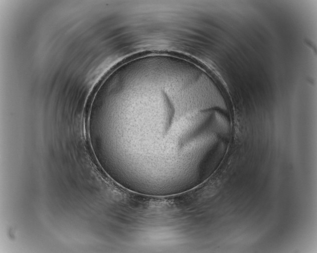 X0000102870887200808251239