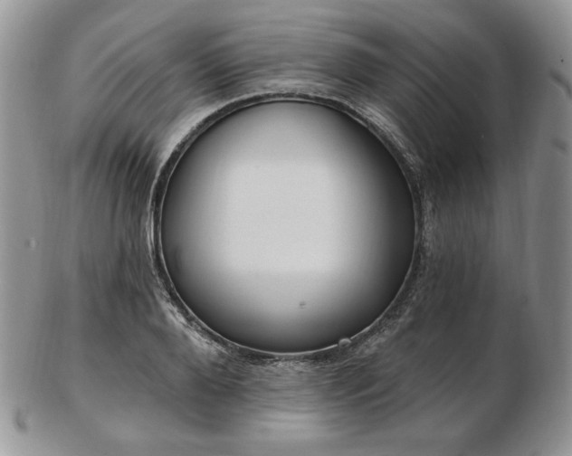 X0000102870888200808251238