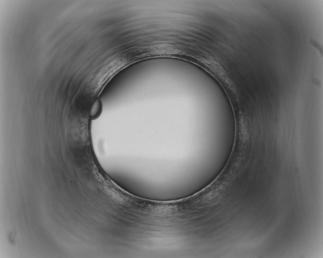 X0000102870889200808251238