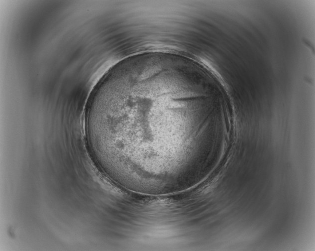 X0000102870891200808251238