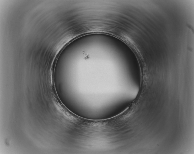 X0000102870892200808251238