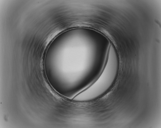 X0000102870893200808251238