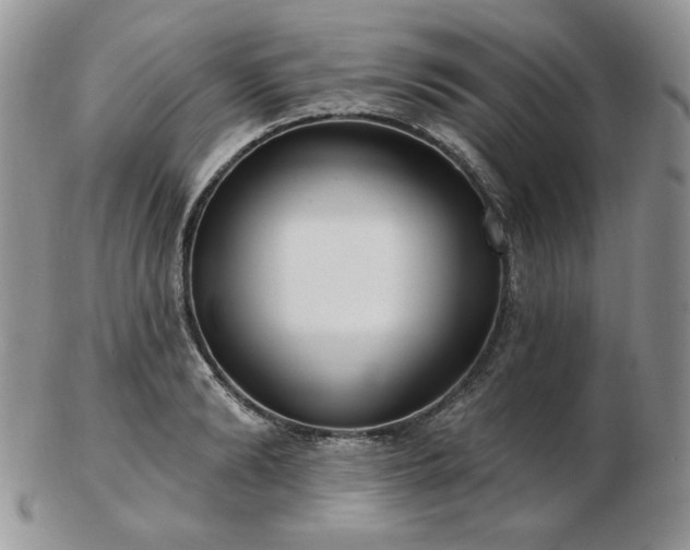 X0000102870894200808251238