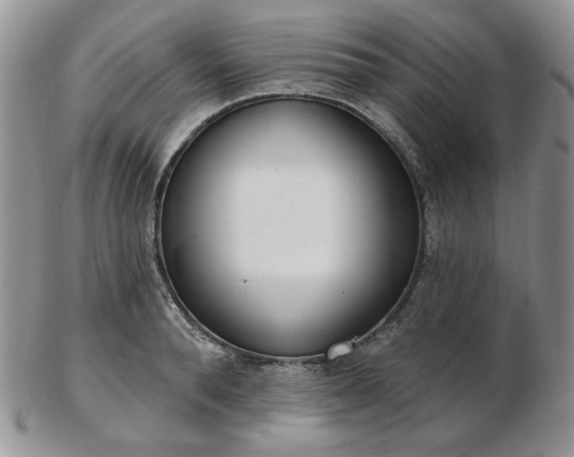 X0000102870896200808251238