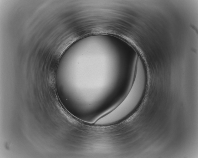 X0000102870897200808251238
