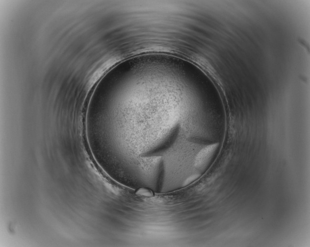 X0000102870898200808251238