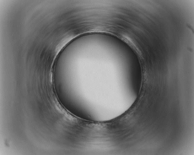 X0000102870900200808251238