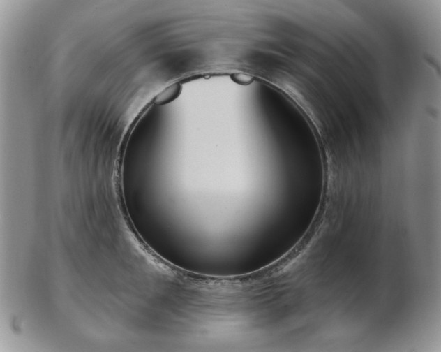 X0000102870901200808251238