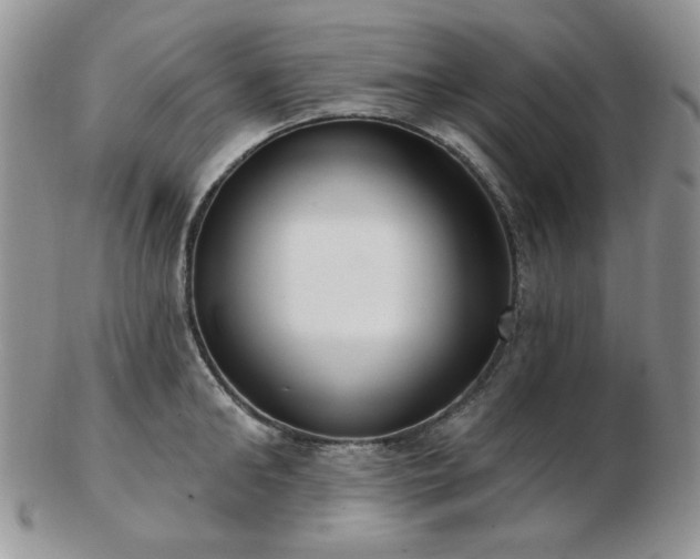 X0000102870902200808251238