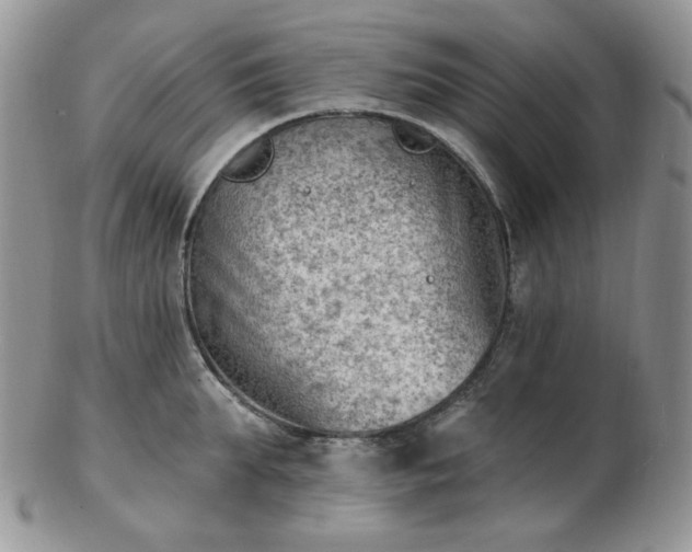 X0000102870903200808251238