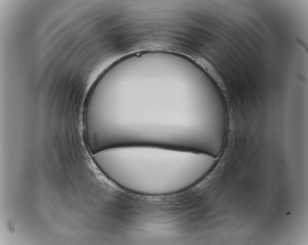 X0000102870904200808251238