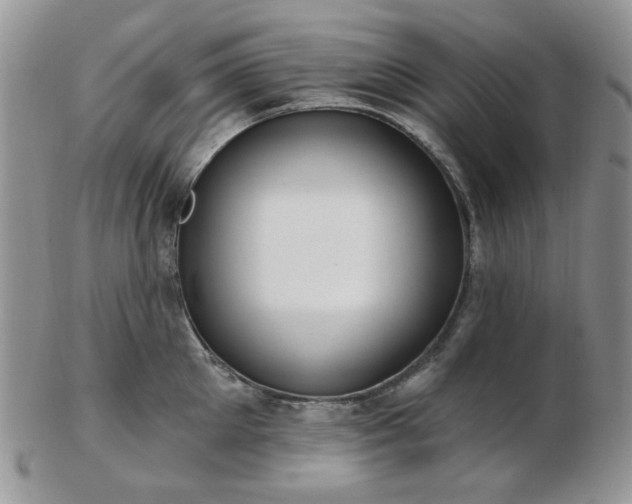 X0000102870905200808251238