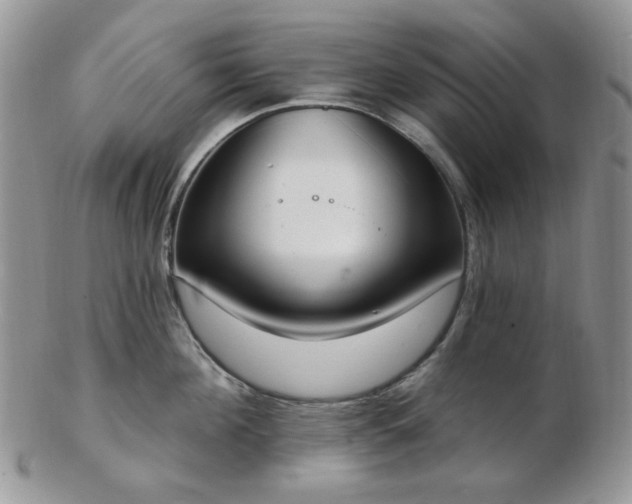 X0000102870908200808251238