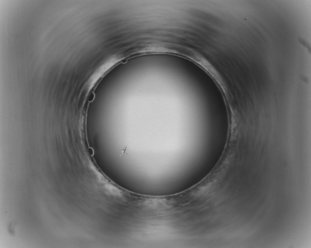 X0000102870909200808251238