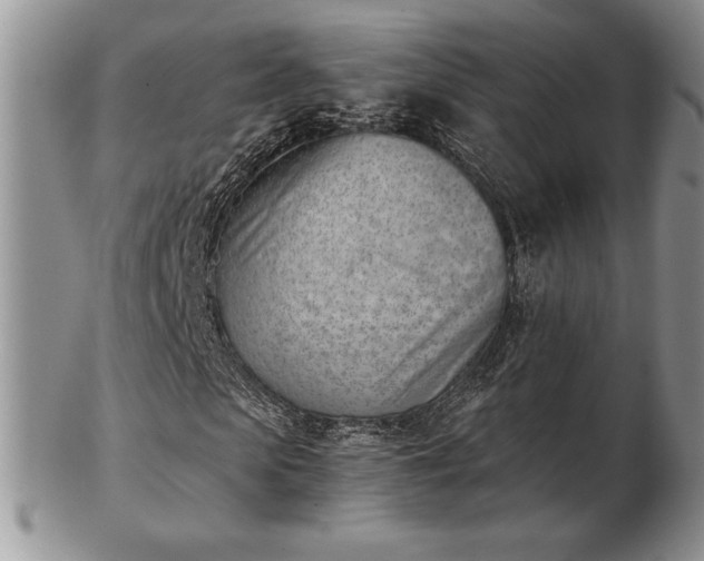 X0000102870913200808251237