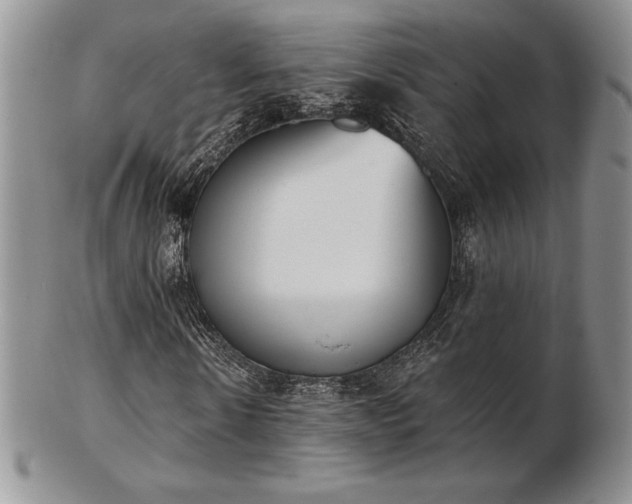 X0000102870914200808251237