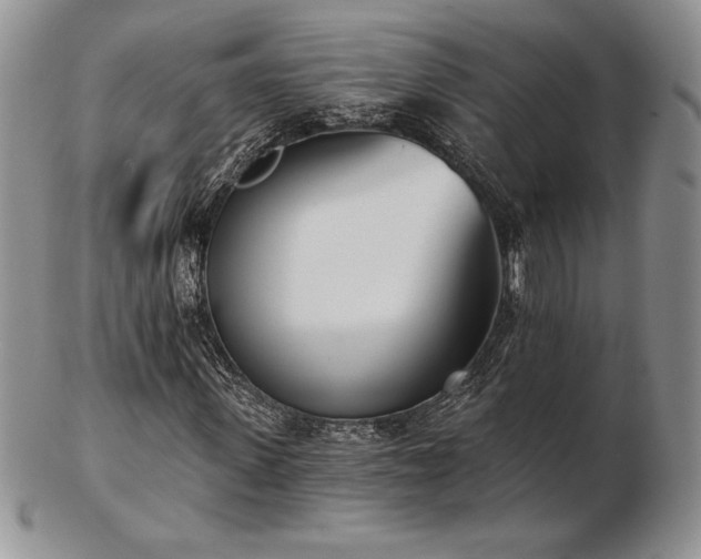 X0000102870915200808251237