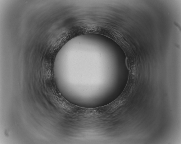 X0000102870916200808251237