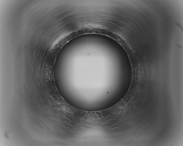 X0000102870919200808251238