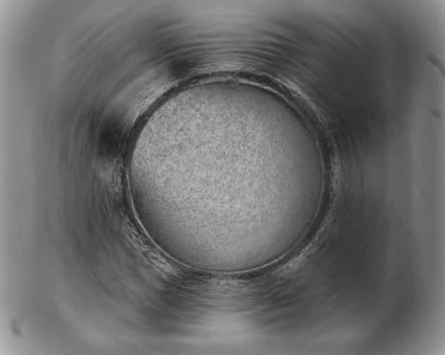 X0000102870921200808251238
