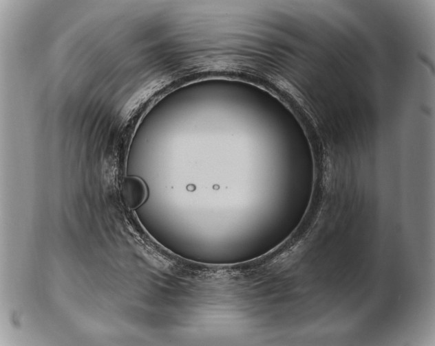 X0000102870922200808251238