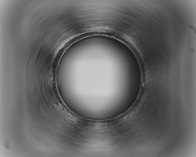 X0000102870923200808251238
