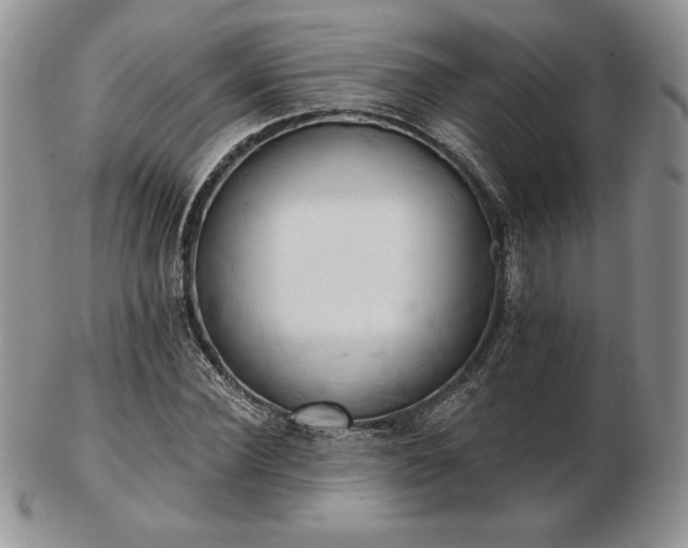 X0000102870924200808251238