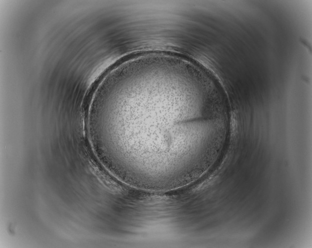 X0000102870925200808251238