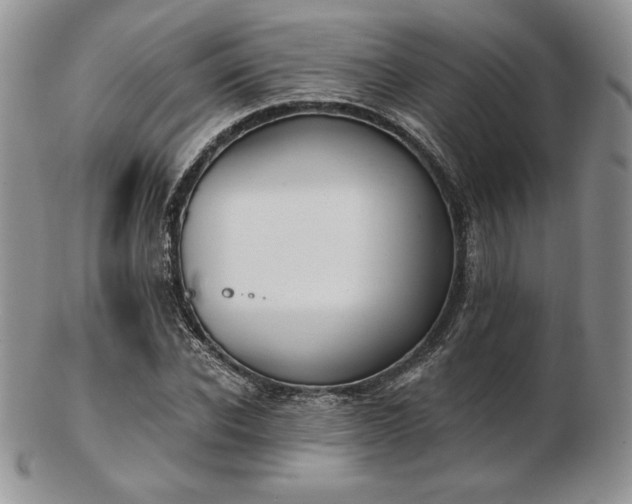 X0000102870926200808251238
