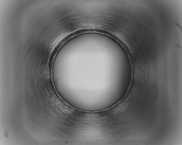 X0000102870927200808251238