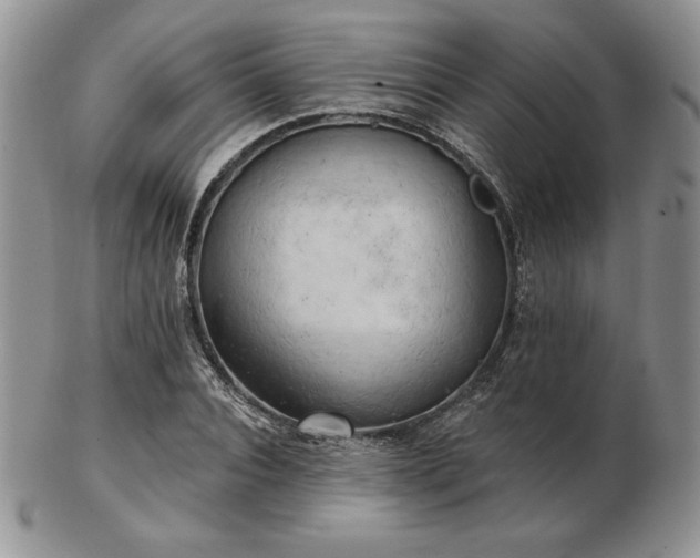 X0000102870928200808251238