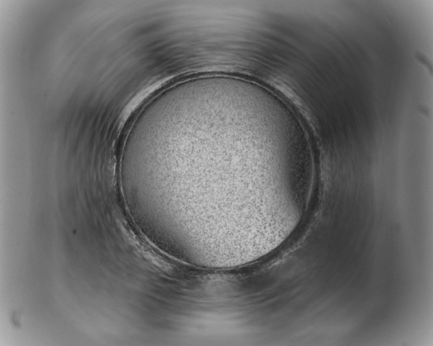 X0000102870933200808251238
