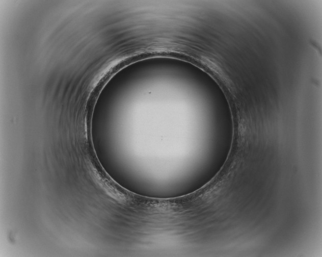 X0000102870934200808251238