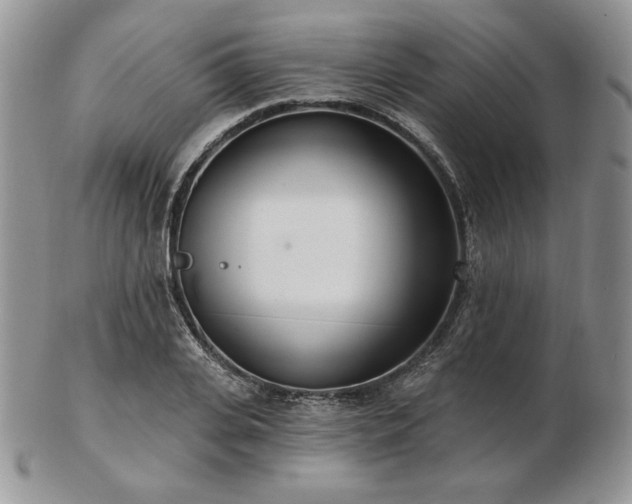 X0000102870935200808251238