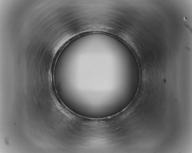 X0000102870936200808251238