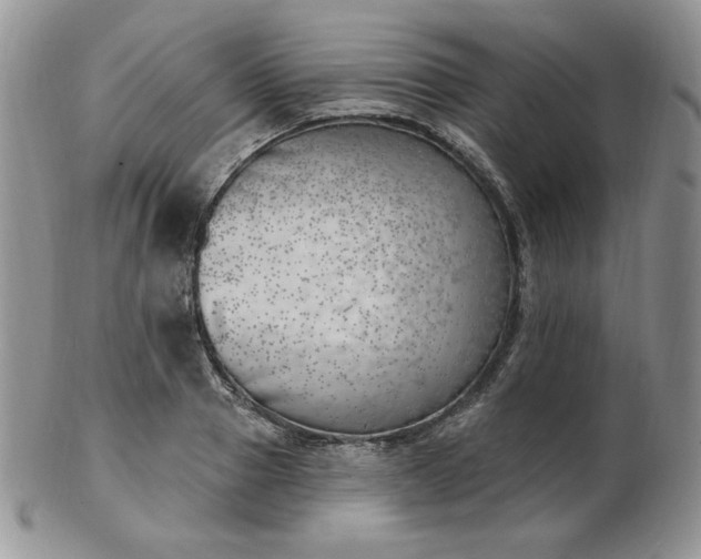 X0000102870937200808251238