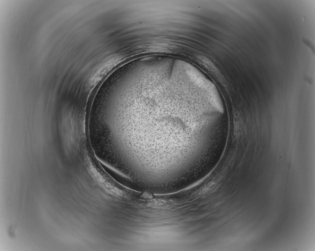 X0000102870938200808251238