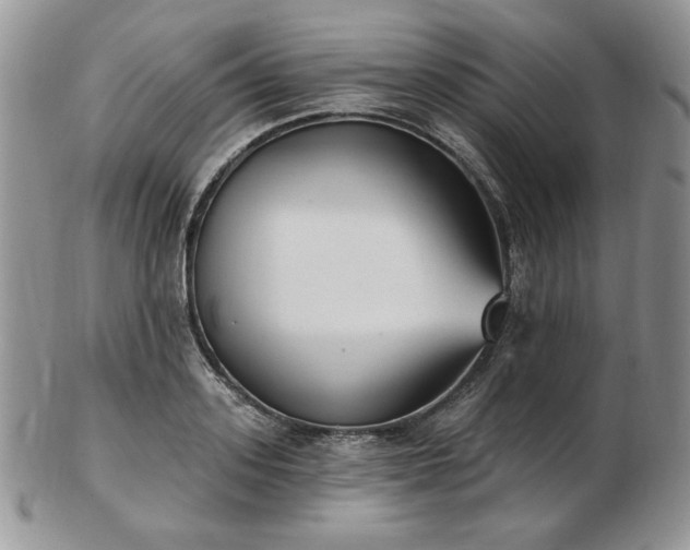 X0000102870939200808251238