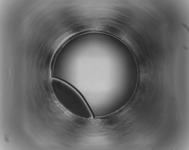 X0000102870940200808251238