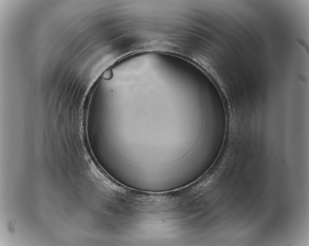 X0000102870941200808251238