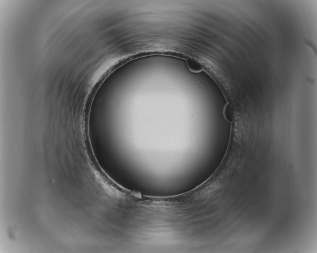 X0000102870942200808251238